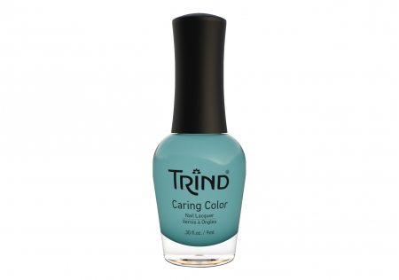 Vernis Trind 262